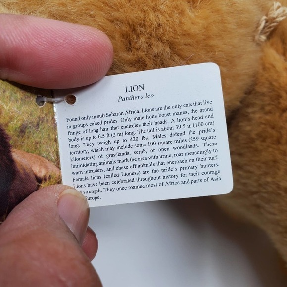 Aurora Babies Panthera Leo Lion Realistic Plush Stuffed Animal 10 Inches - Picture 5 of 7